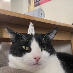 Meet your Posher, Sotia